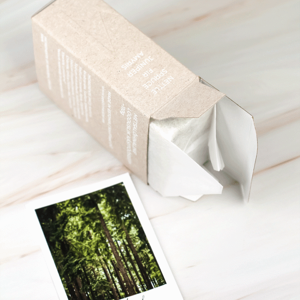 WOODLAND 7 woodland seep