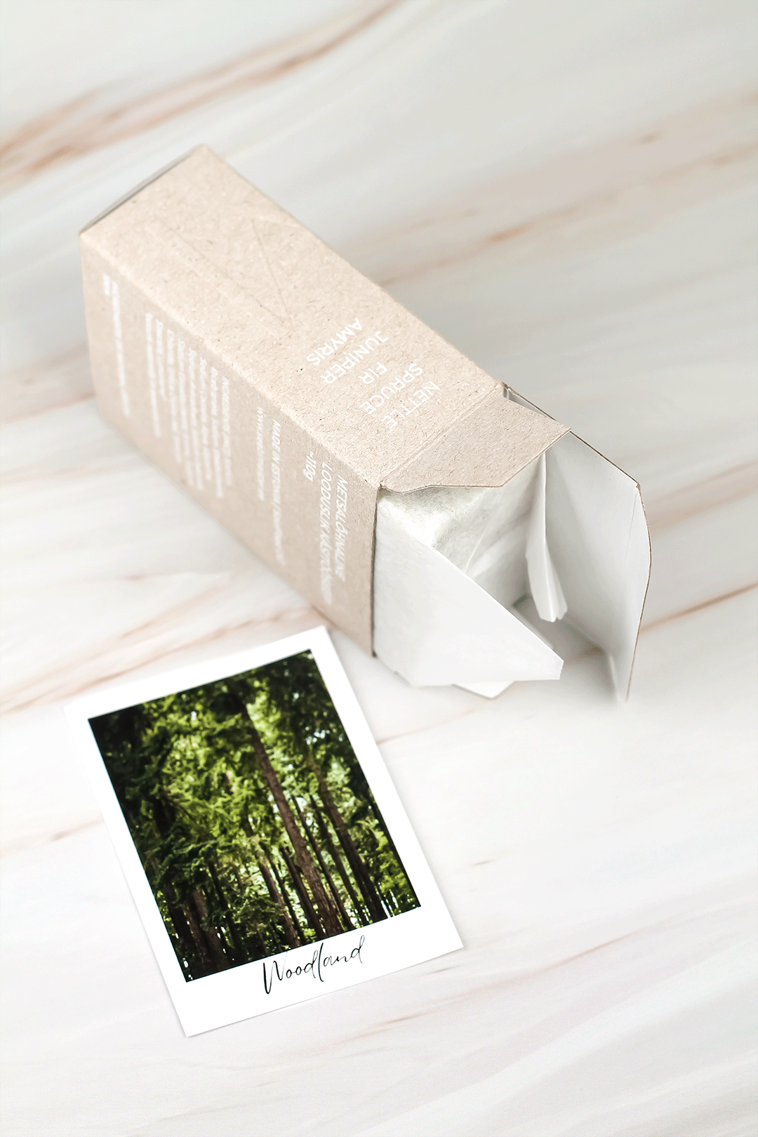 WOODLAND 3 woodland seep