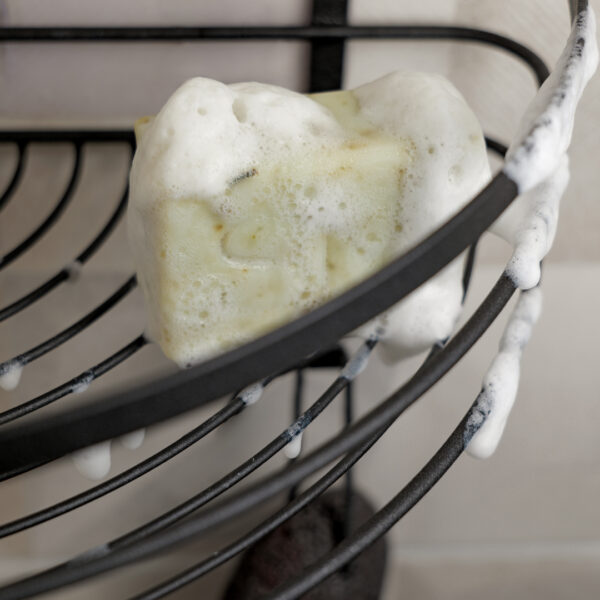 WOODLAND 8 woodland seep