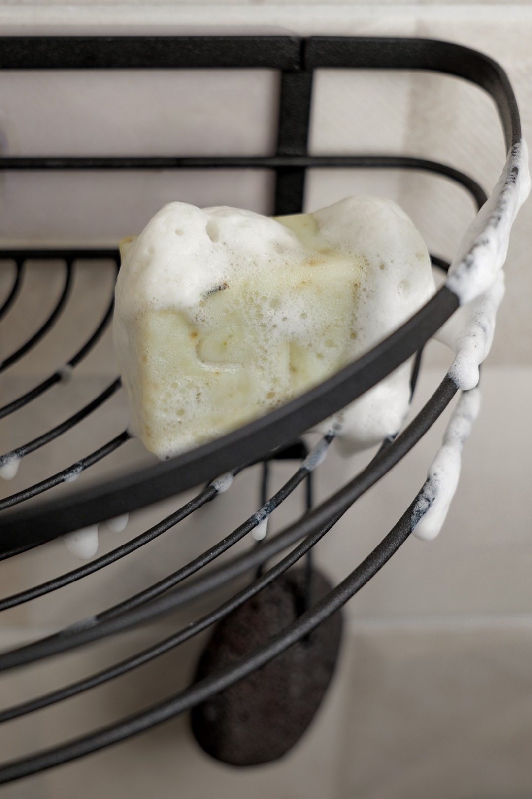 WOODLAND 4 woodland seep